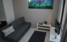 Aurora Haven Rovaniemi Modern Dt Apartment -Self Check-In & Free Wifi-